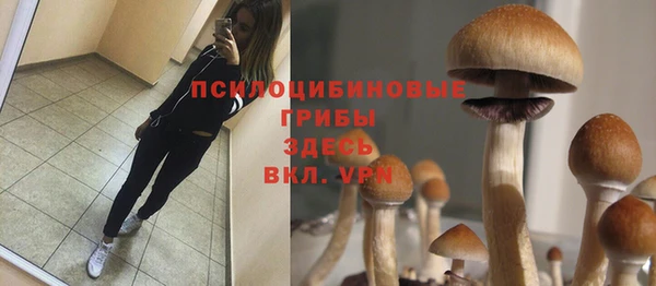 ПСИЛОЦИБИНОВЫЕ ГРИБЫ Алзамай