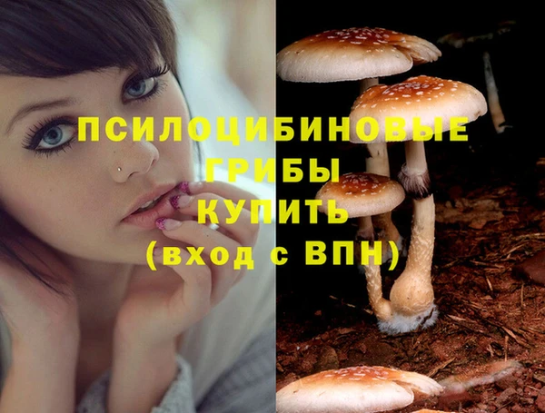 экстази Алексеевка