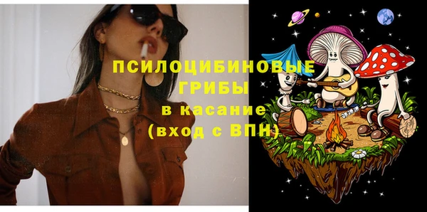 ПСИЛОЦИБИНОВЫЕ ГРИБЫ Алзамай